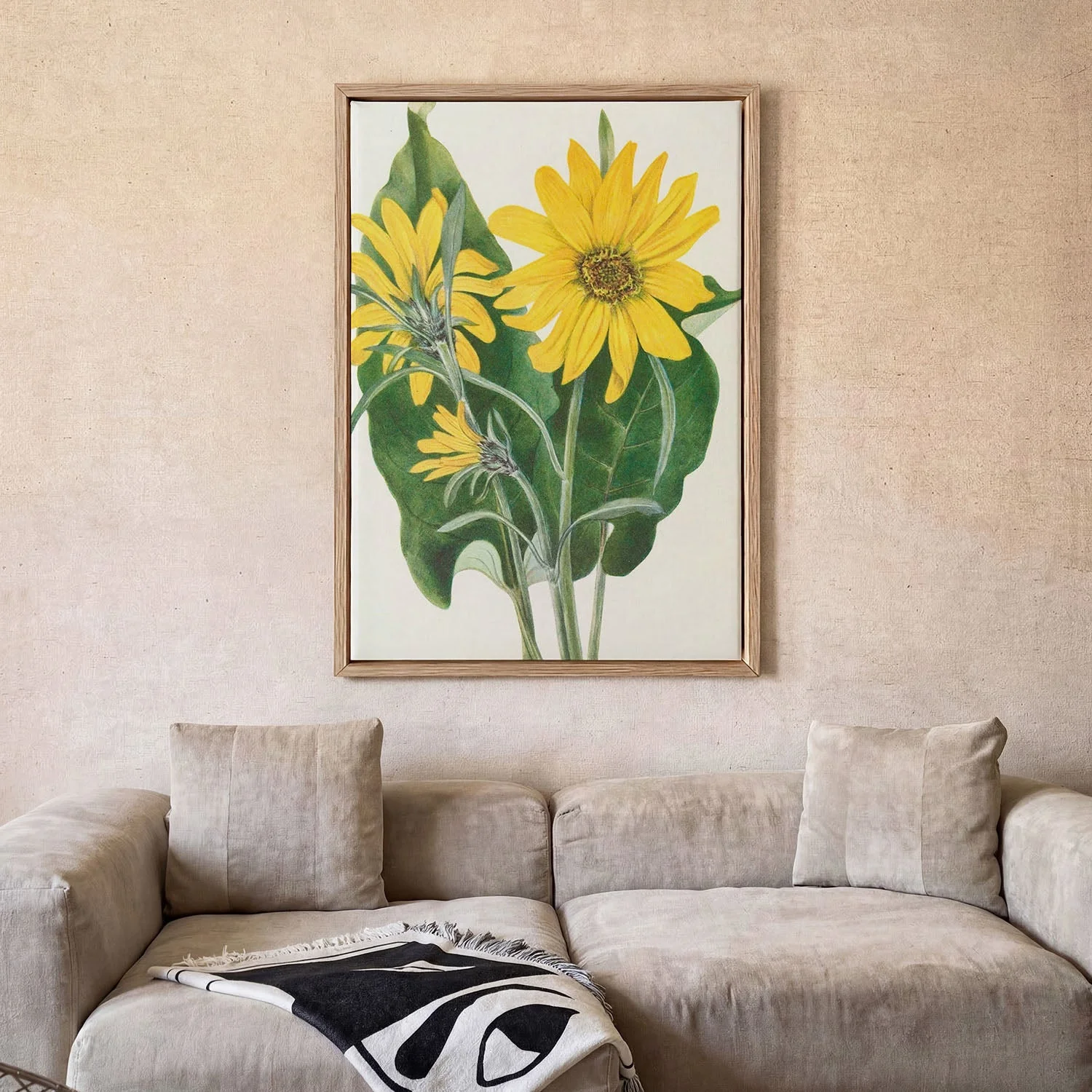 Balsamroot From North American Wildflowers (1925) By Mary Vaux Walcott by Mary Vaux Walcott - Image 2