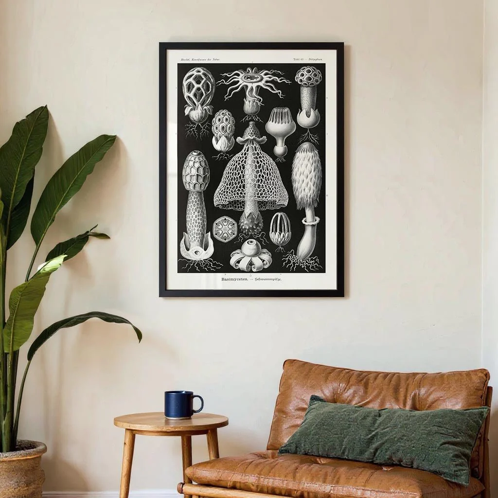 Basimycetes by Ernst Haeckel - Image 3