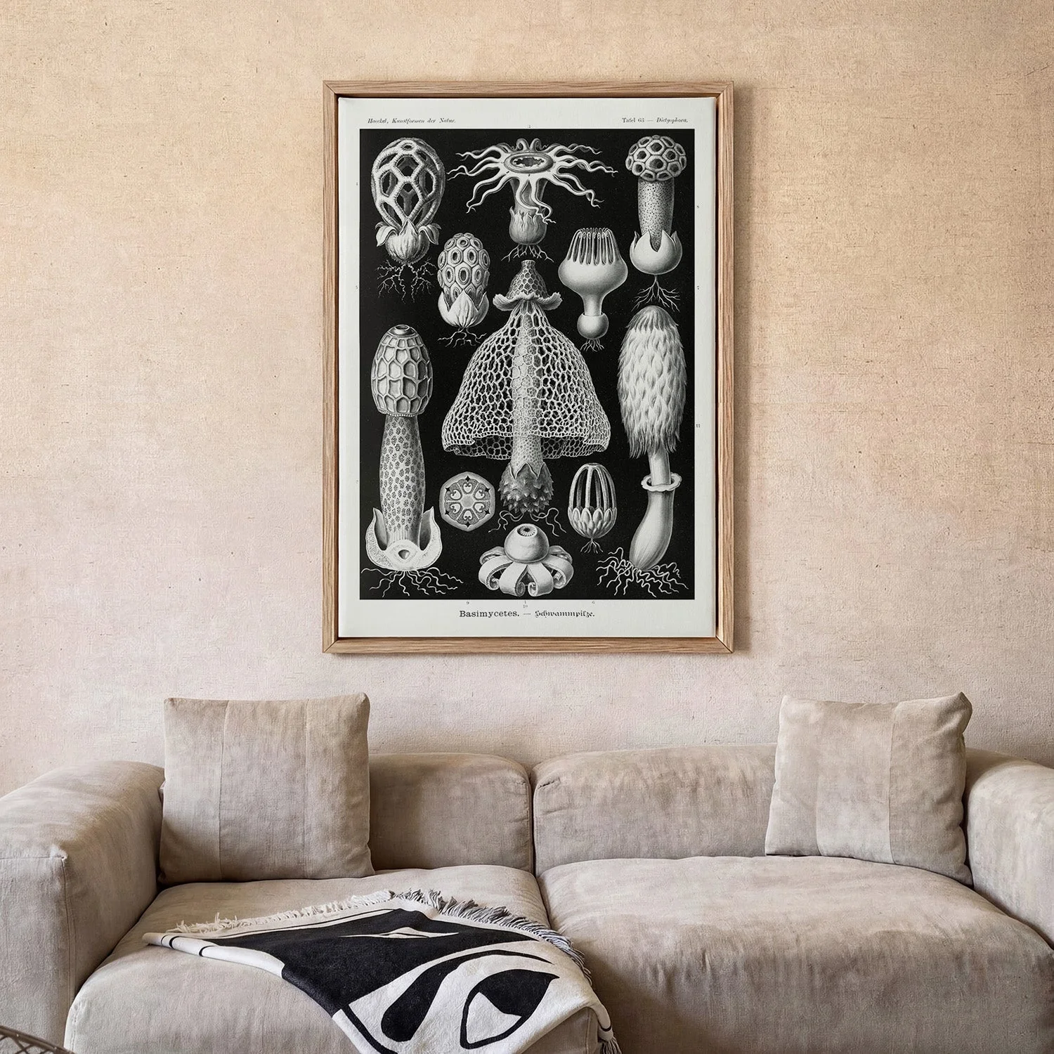 Basimycetes by Ernst Haeckel - Image 2