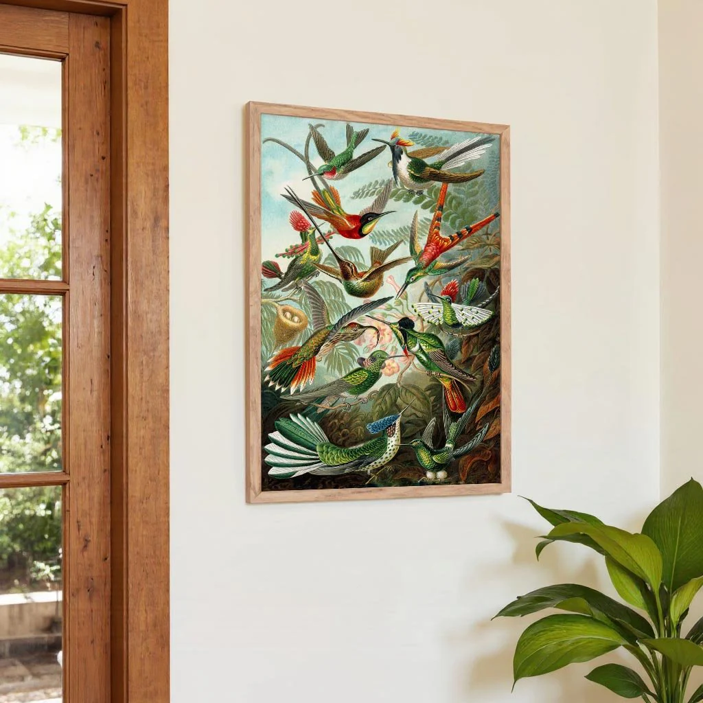 Birds of Paradise by Ernst Haeckel - Image 4