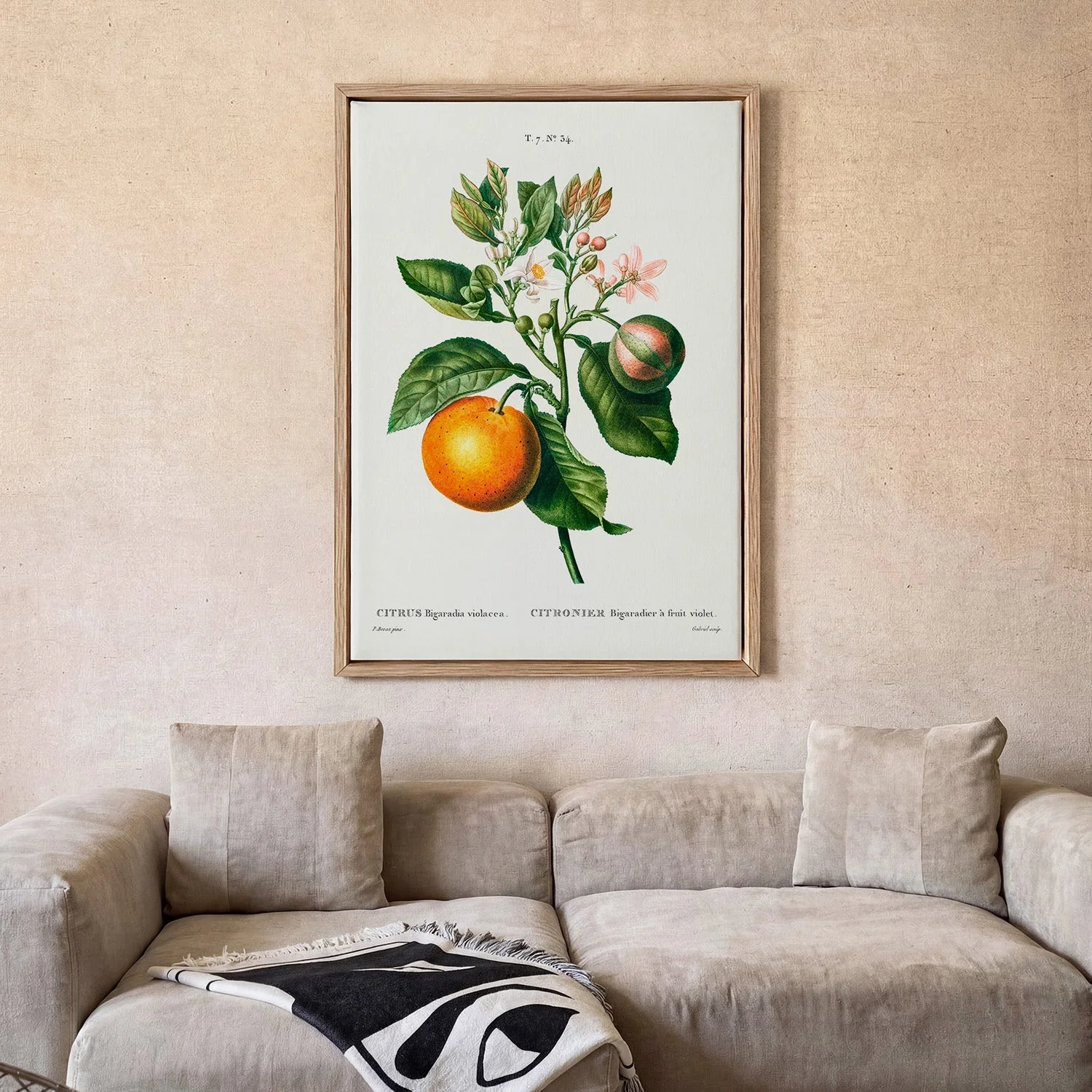 Bitter Orange Flower - Image 2