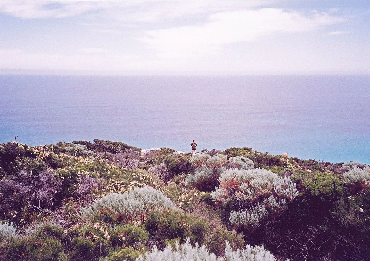 Blooming Surf Lookout by Andrea Schindler - Image 6