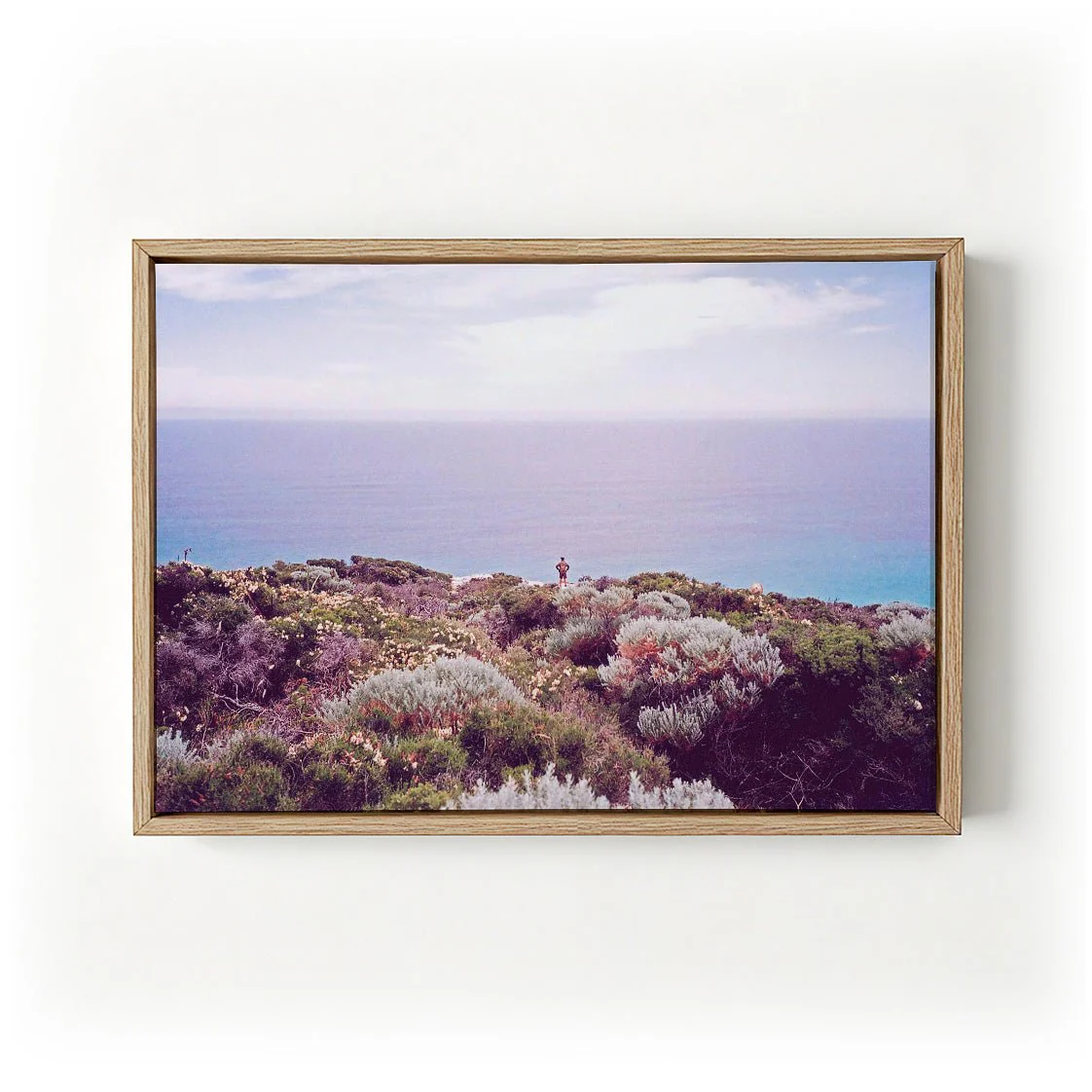 Blooming Surf Lookout by Andrea Schindler