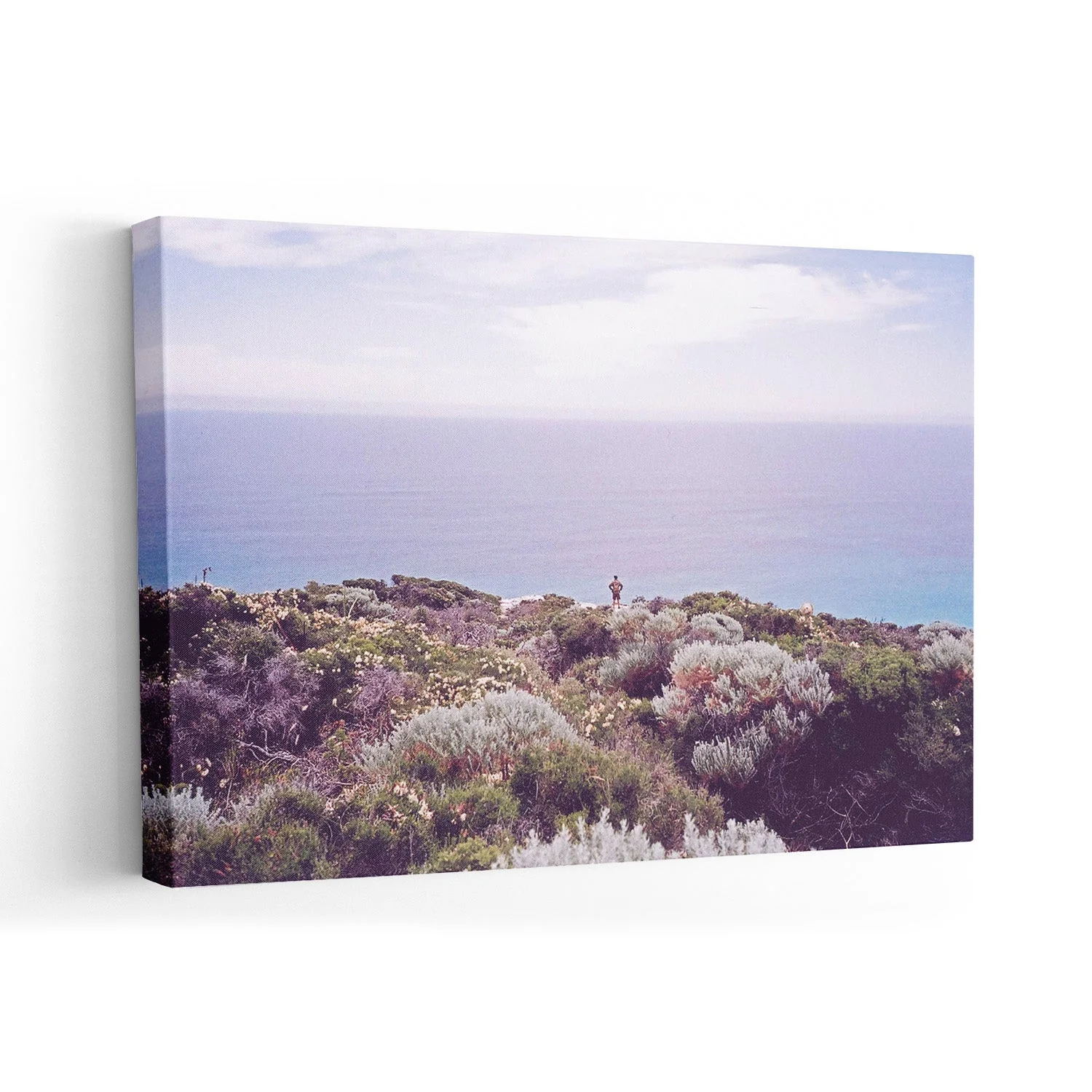Blooming Surf Lookout by Andrea Schindler - Image 7