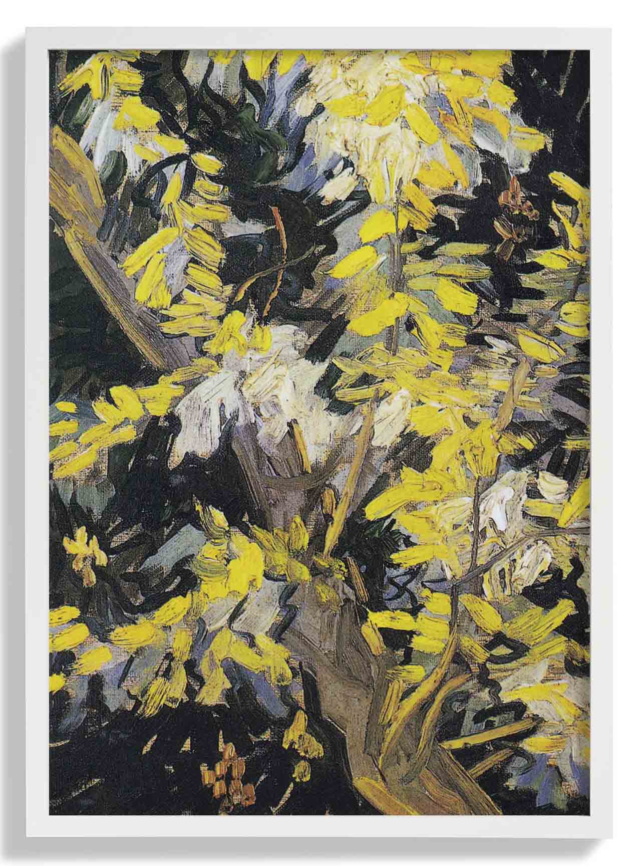 Blossoming Acacia Branches by Van Gogh - Image 5