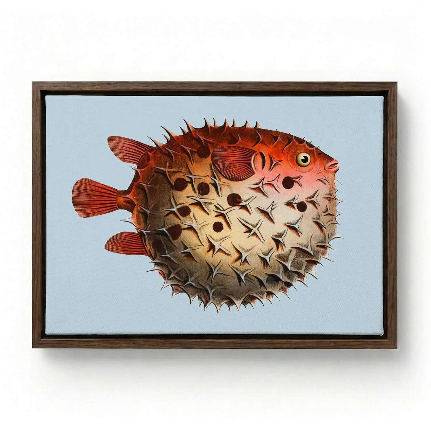 Blowfish Fish - Image 6