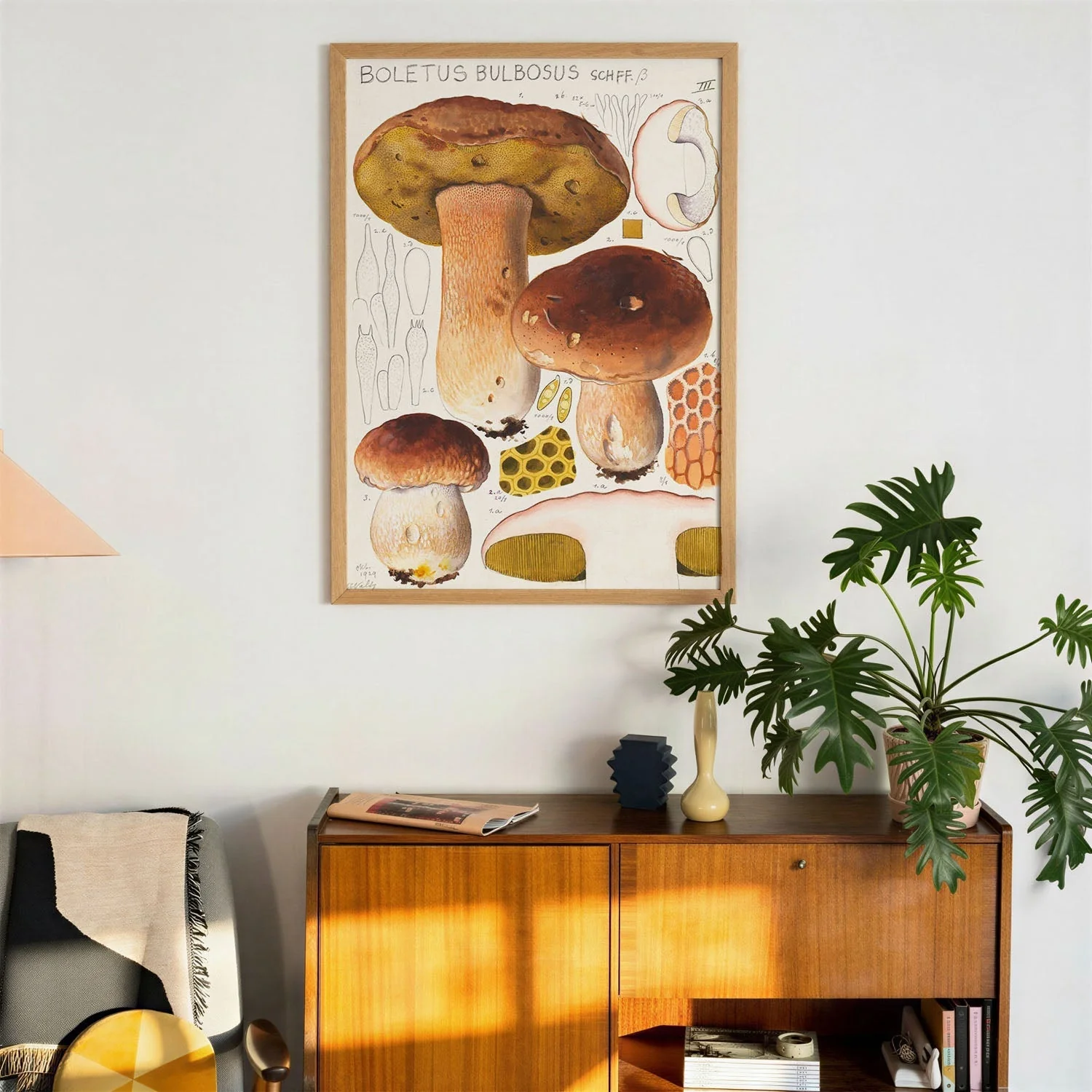 Boletus bulbosus by Hans E. Walty - Image 3