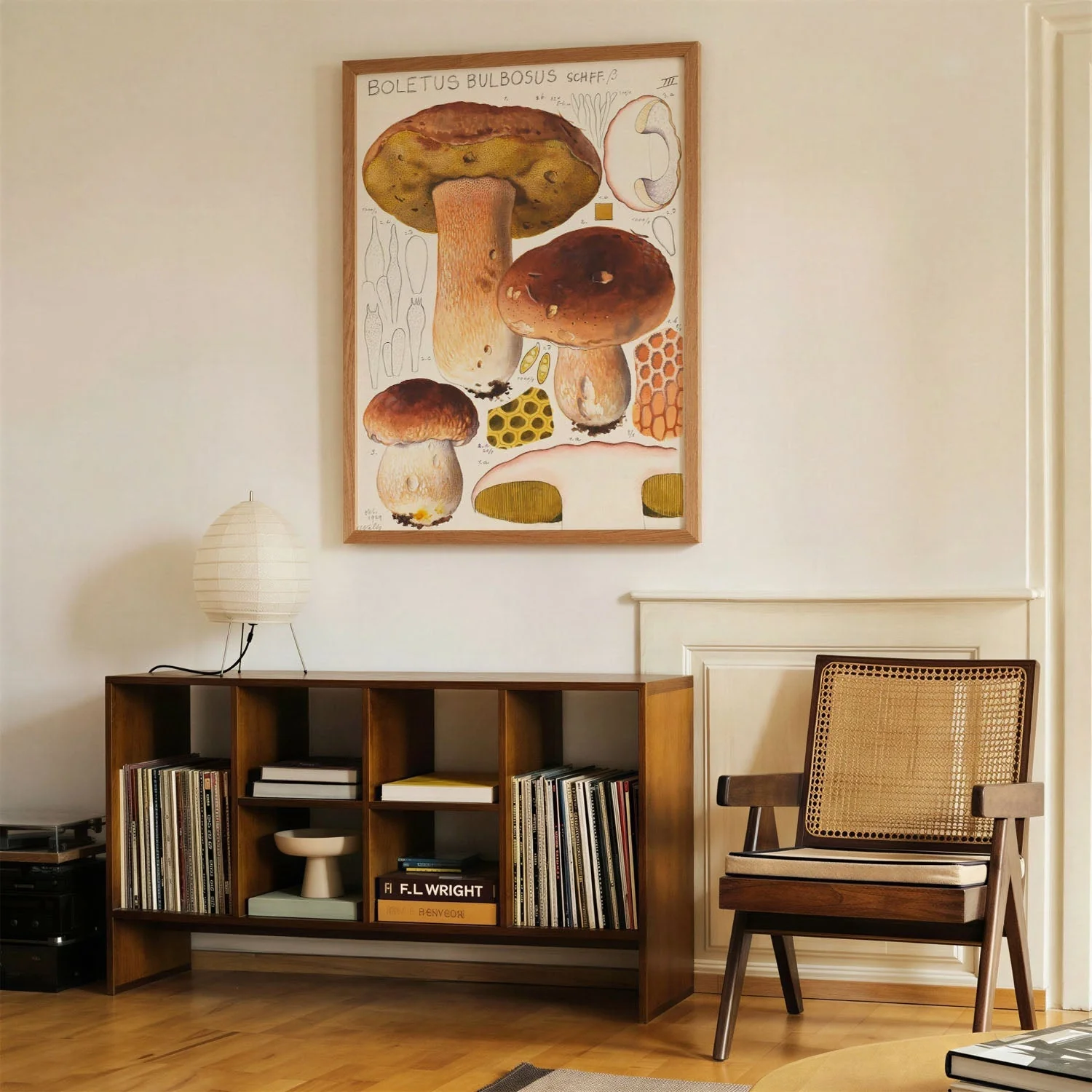 Boletus bulbosus by Hans E. Walty - Image 4