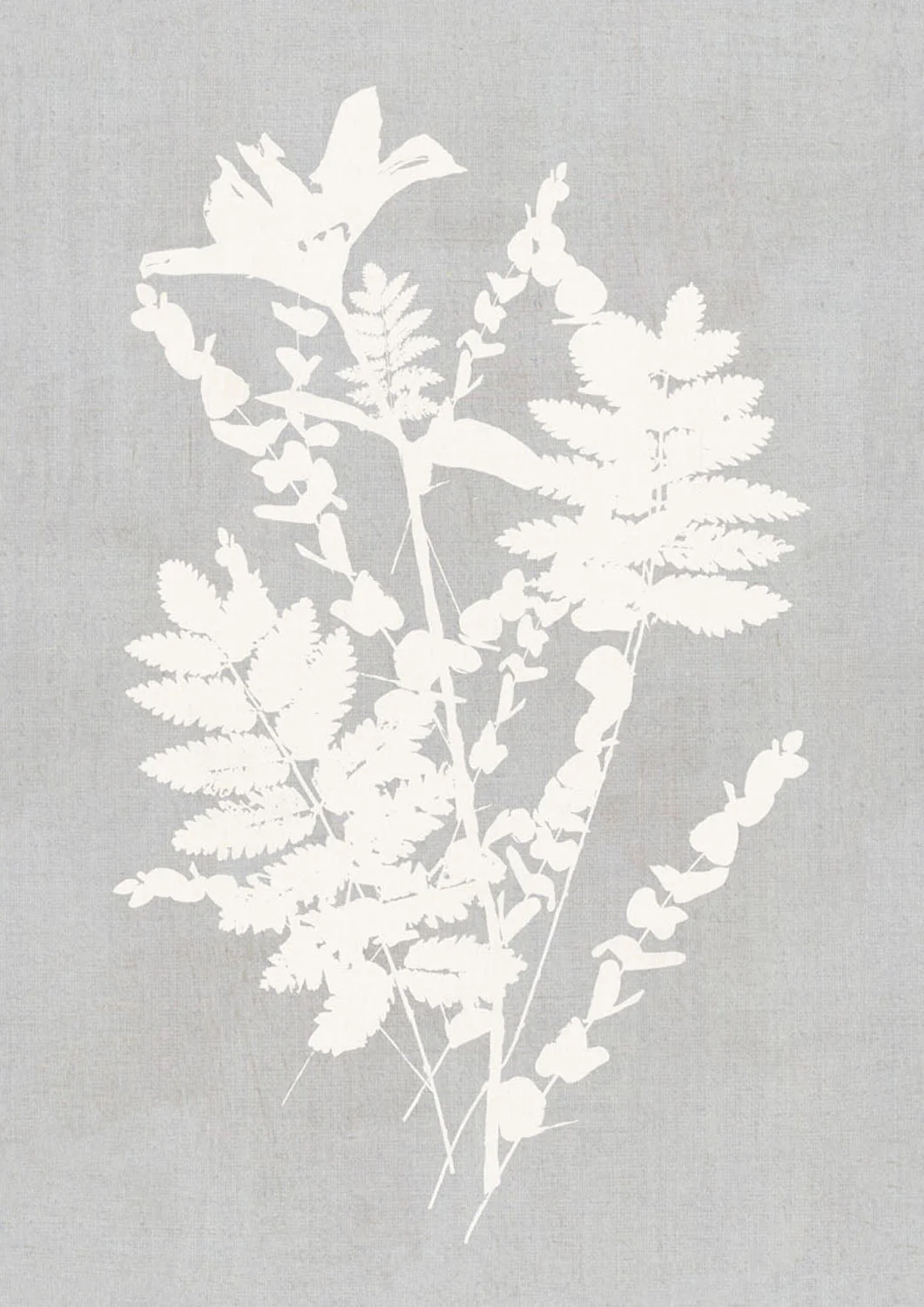 Botanical Silhouette Study by cartissi - Image 7