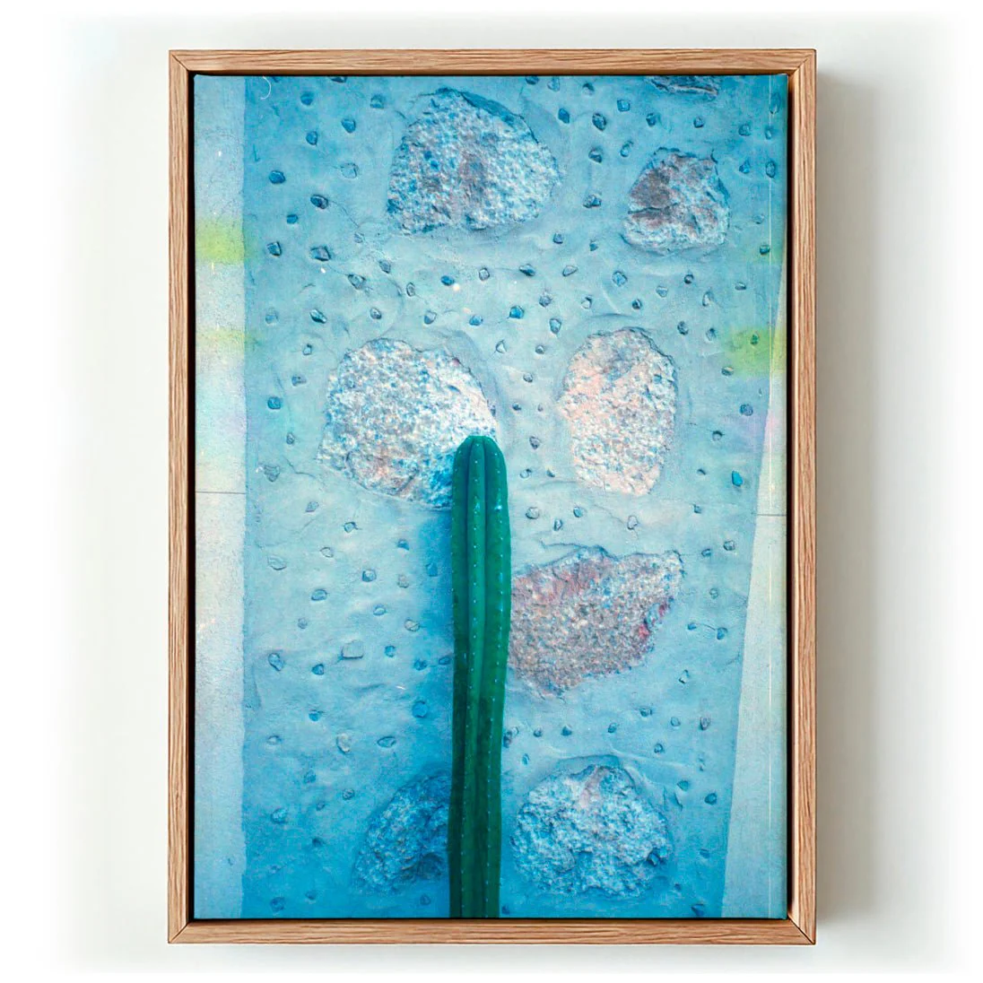 Cactus on Holiday by Andrea Schindler