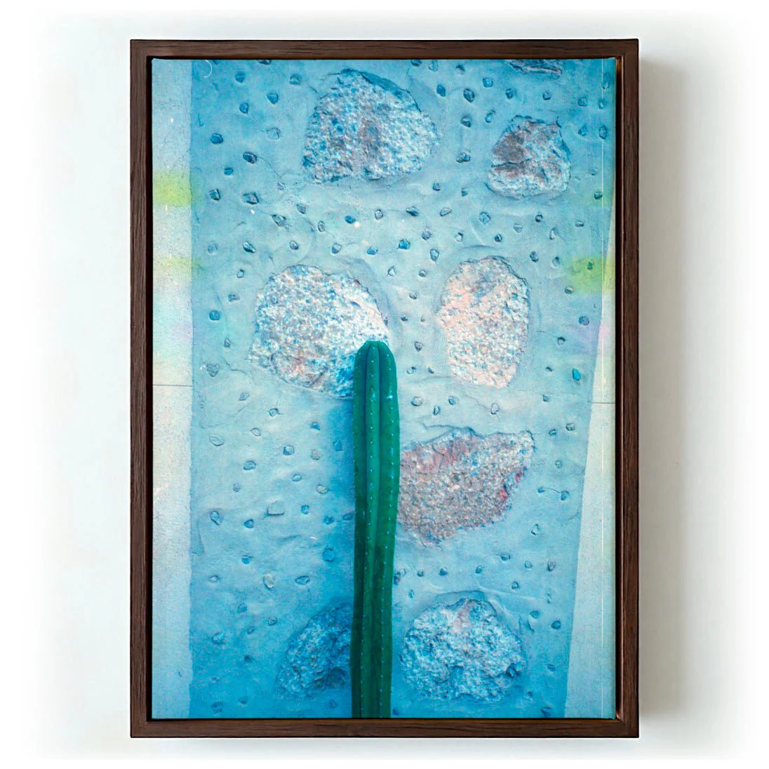 Cactus on Holiday by Andrea Schindler - Image 6