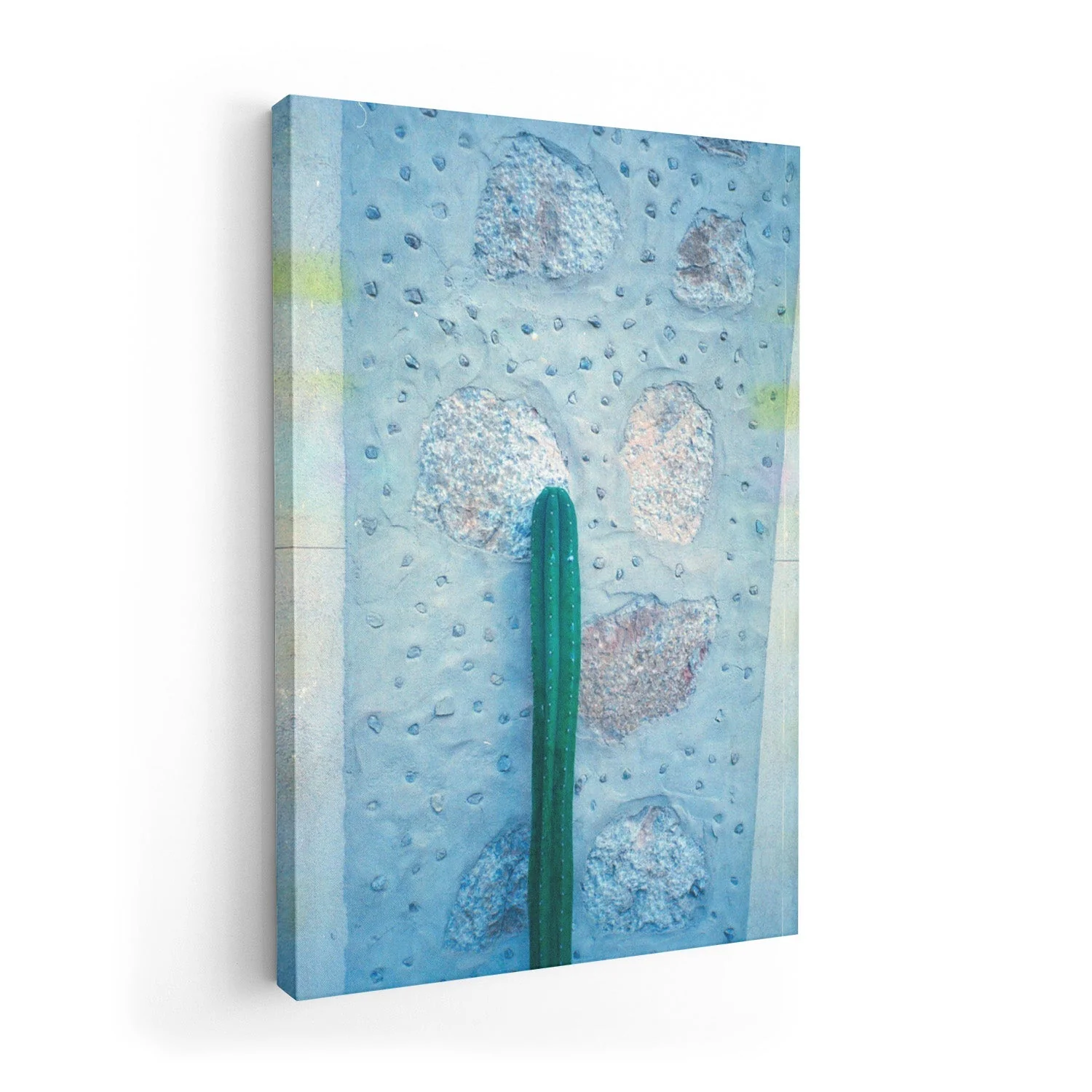 Cactus on Holiday by Andrea Schindler - Image 7