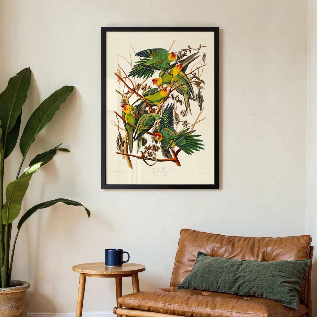 Caroline Parakeet Animal Print - Image 3