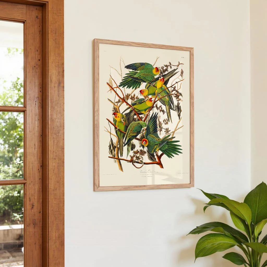 Caroline Parakeet Animal Print - Image 4
