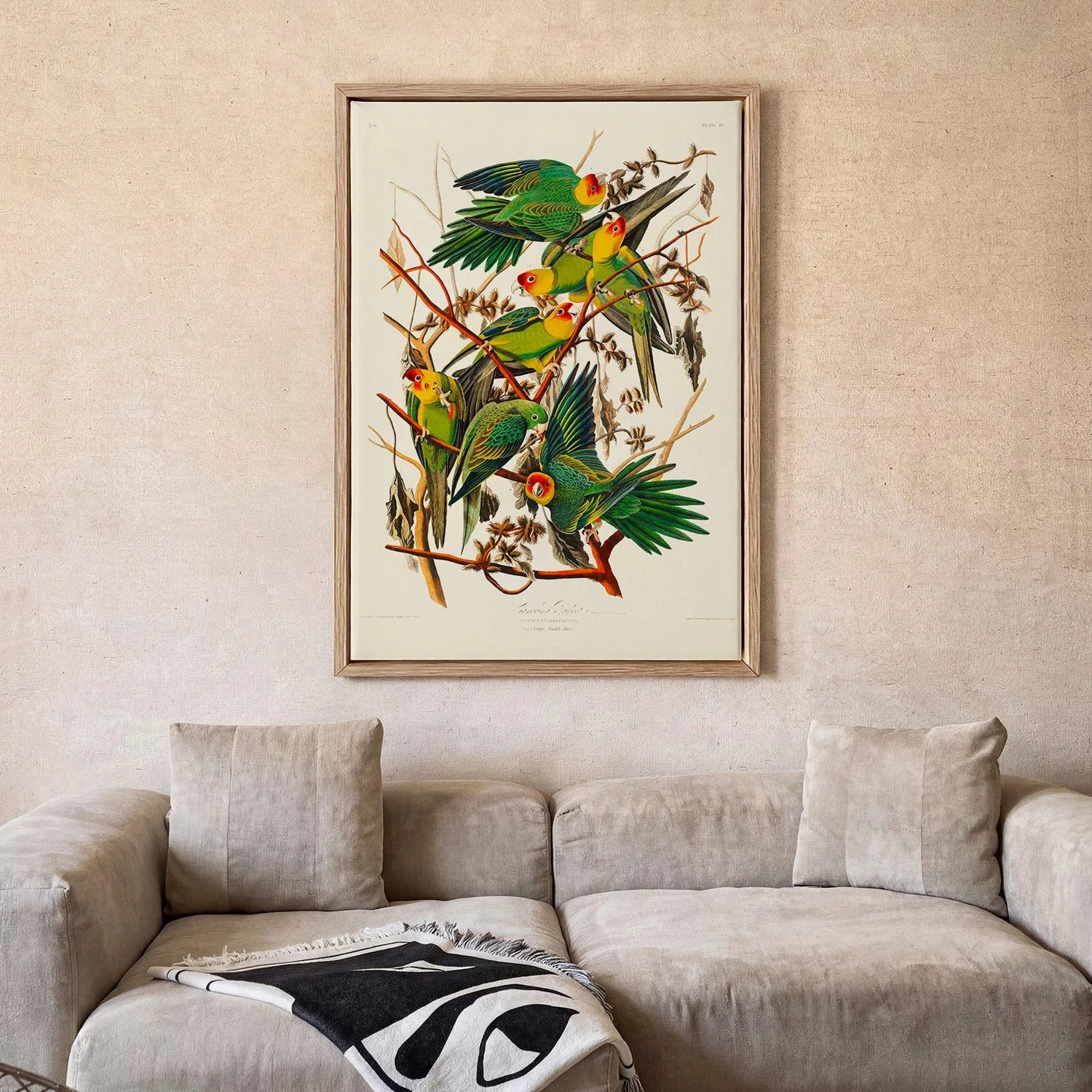 Caroline Parakeet Animal Print - Image 2