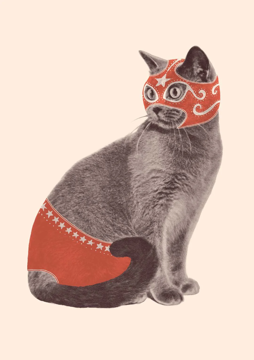 Cat Wrestler by Florent Bodart - Image 8