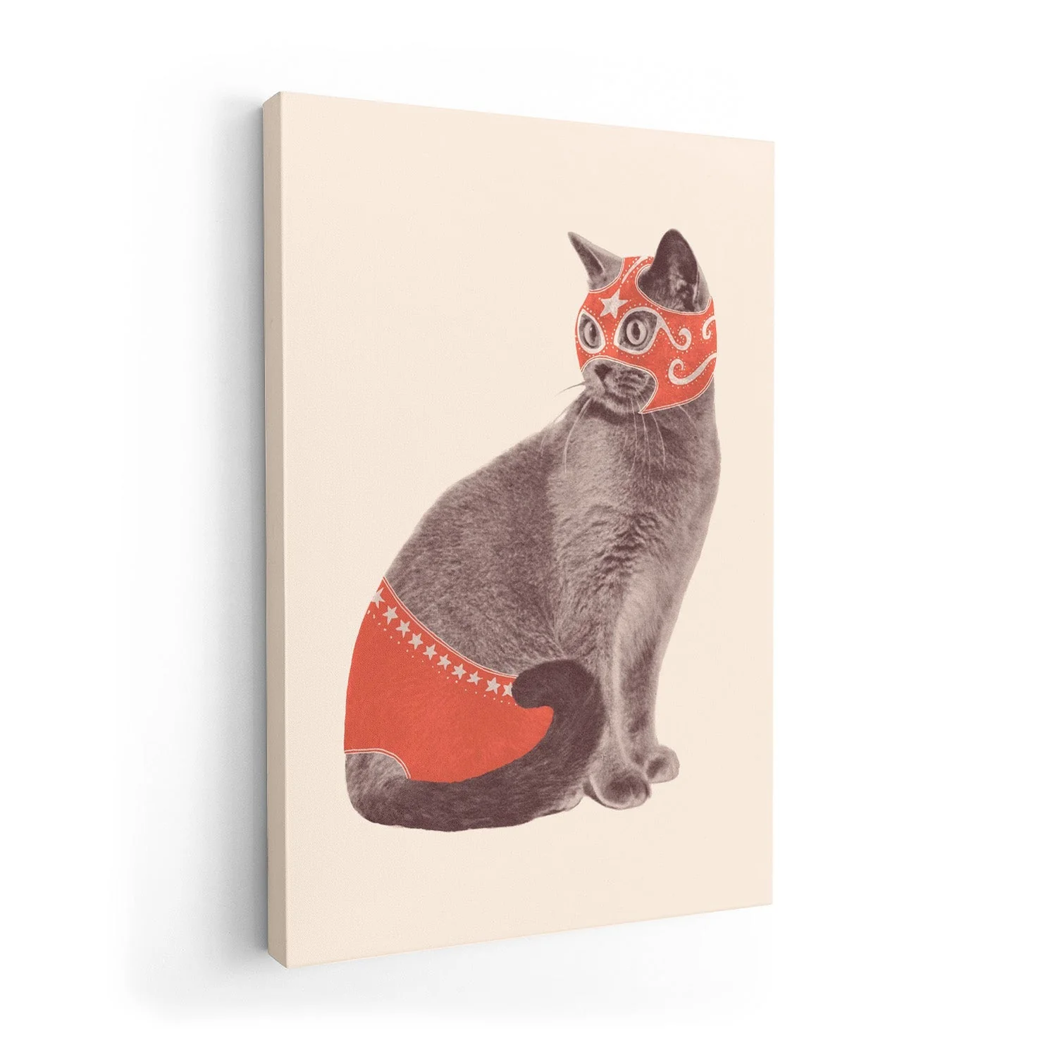 Cat Wrestler by Florent Bodart - Image 7