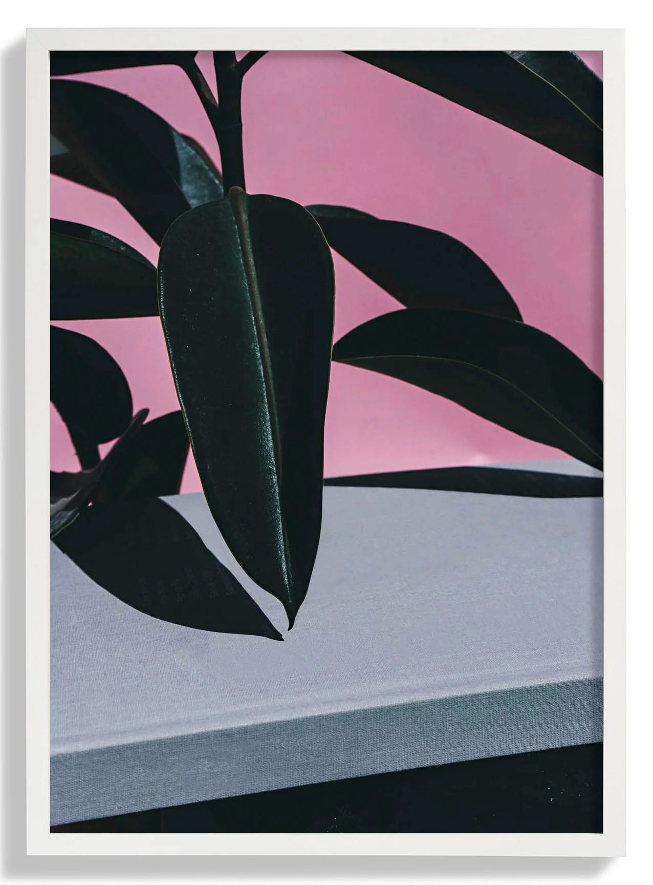 Close Up of Indoor Rubber - Image 5