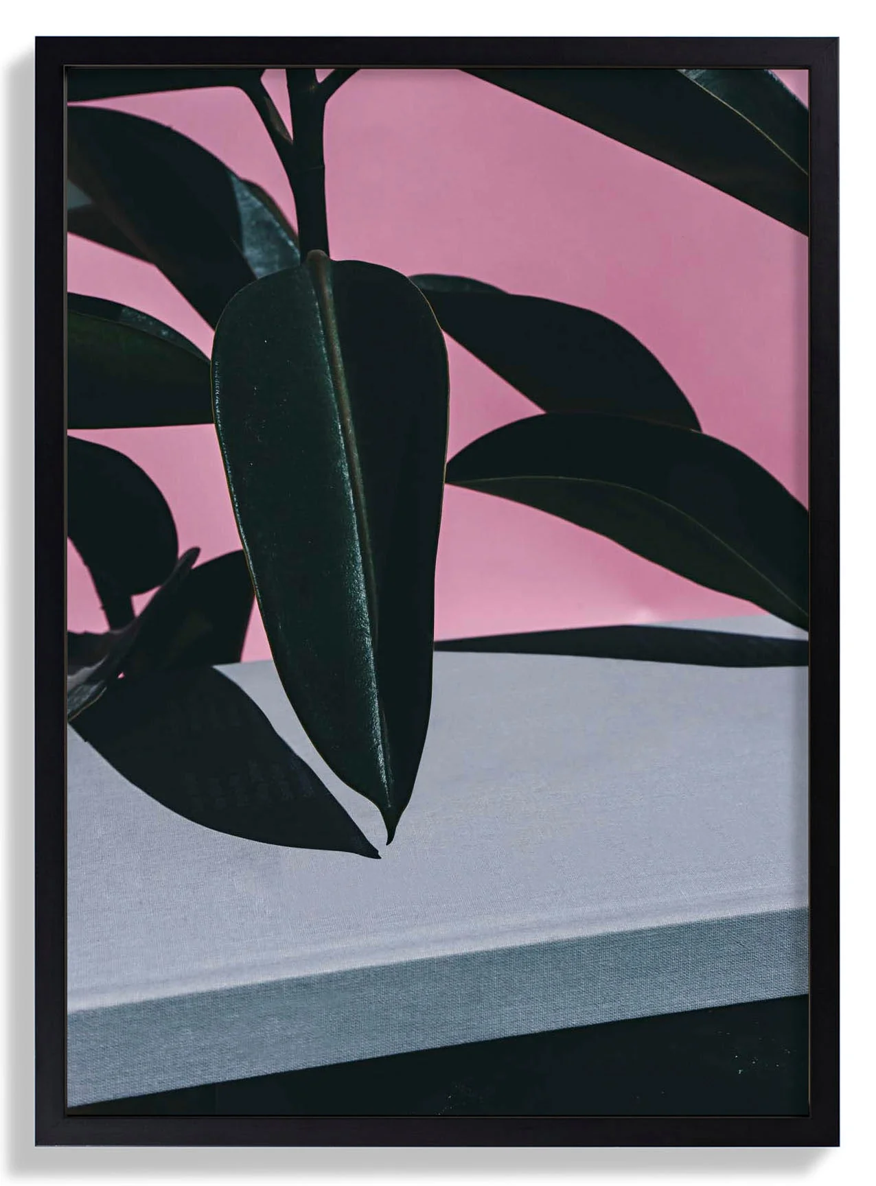 Close Up of Indoor Rubber - Image 6
