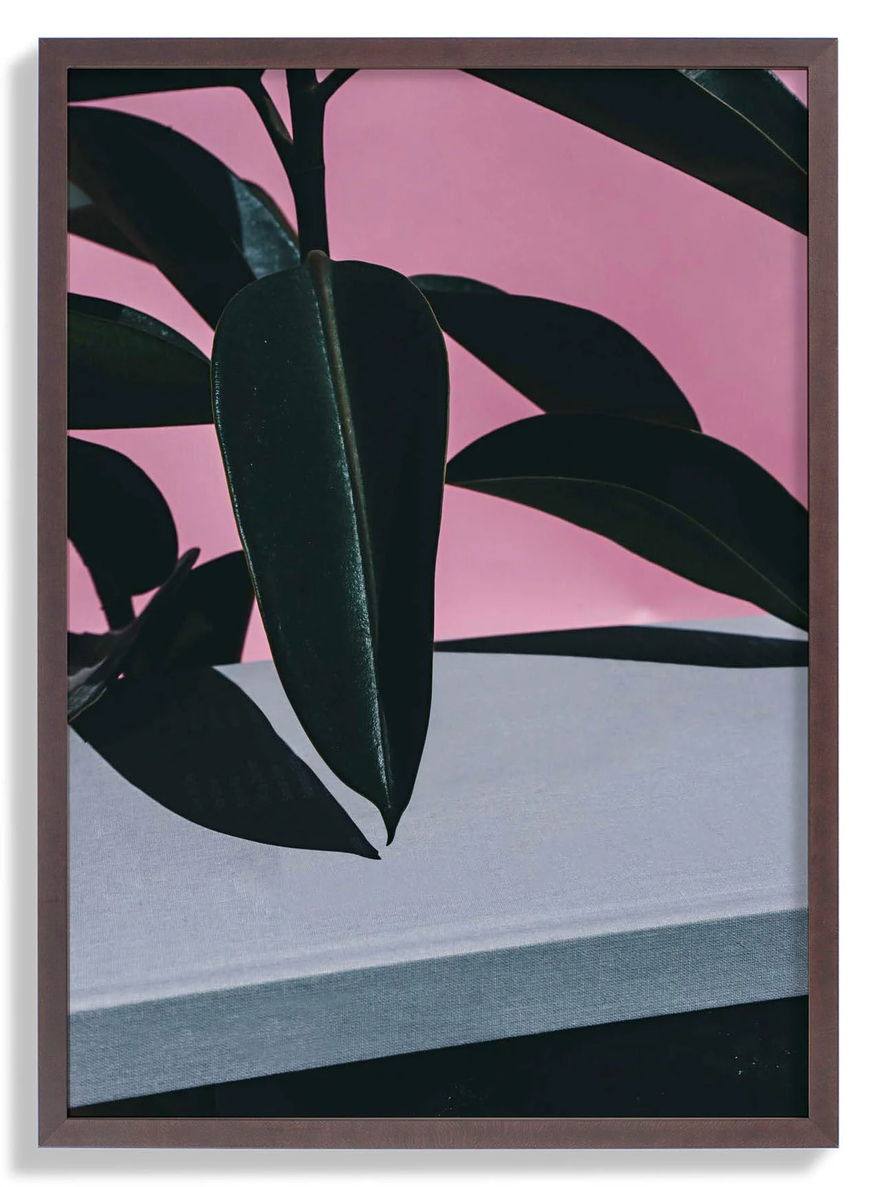 Close Up of Indoor Rubber - Image 7