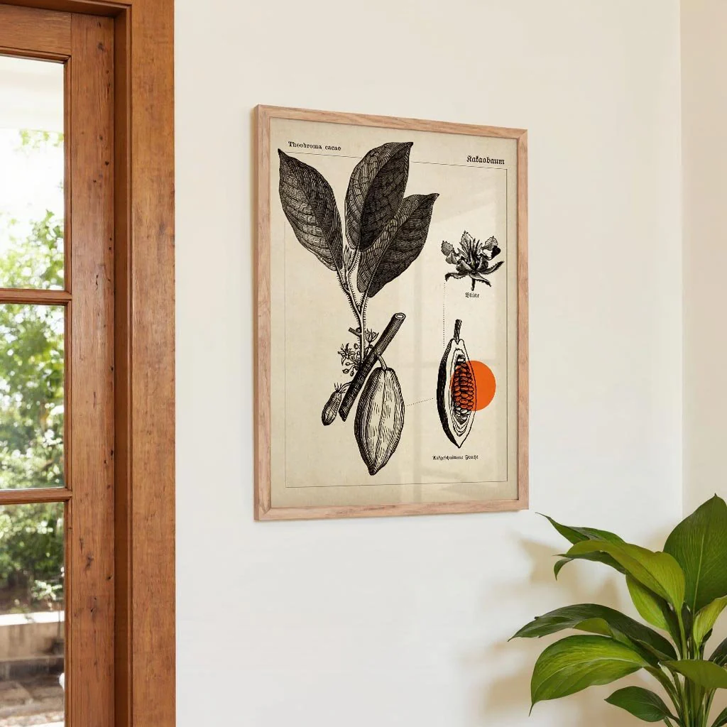Cocoa Kakaobaum - Image 4