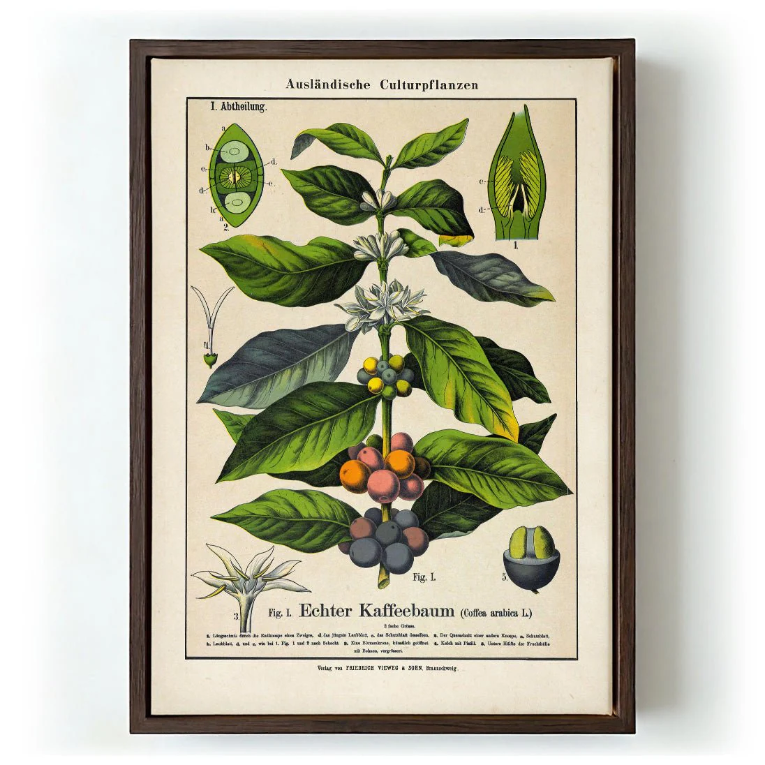Coffee - Image 6