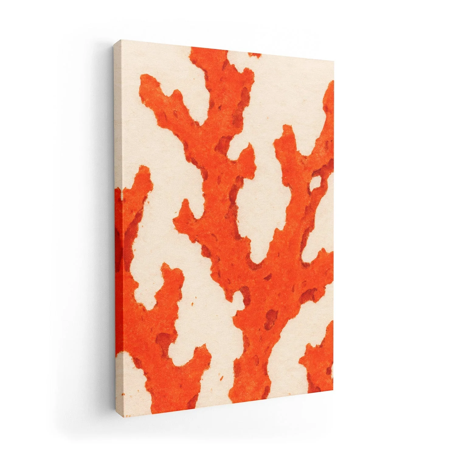 Coral Dreams by Treechild - Image 7