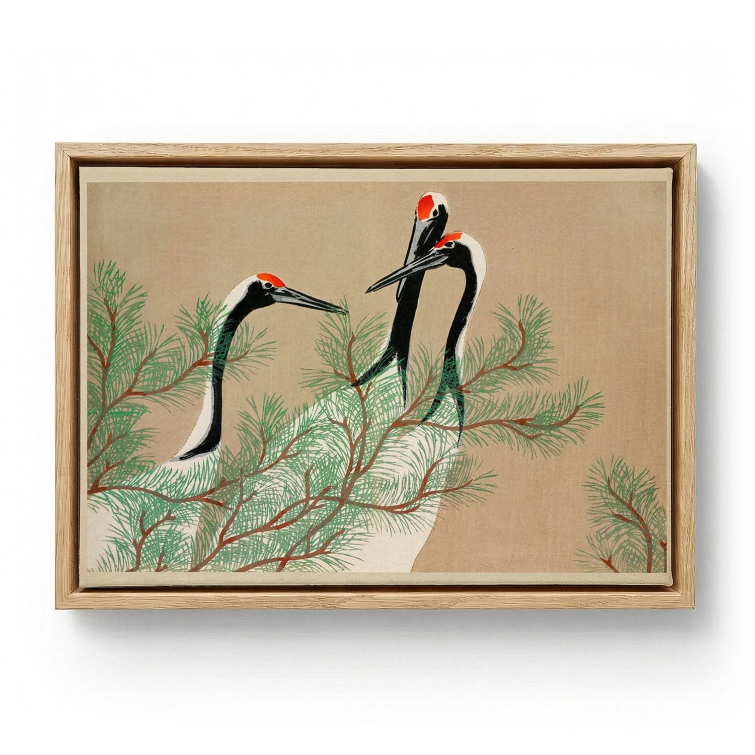 Cranes from Momoyogusa-Flowers by Sekka