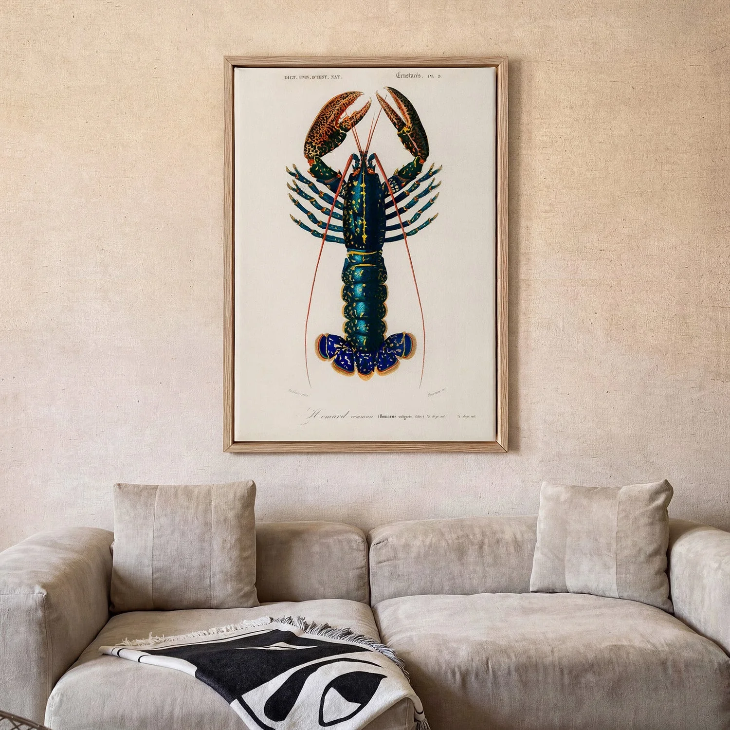 Crustacean Lobster - Image 2