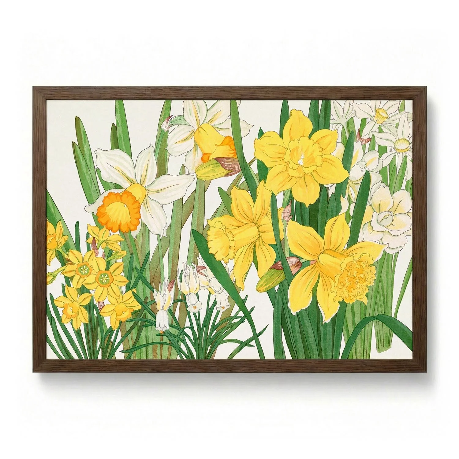 Daffodil No.2 by Tanigami - Image 6