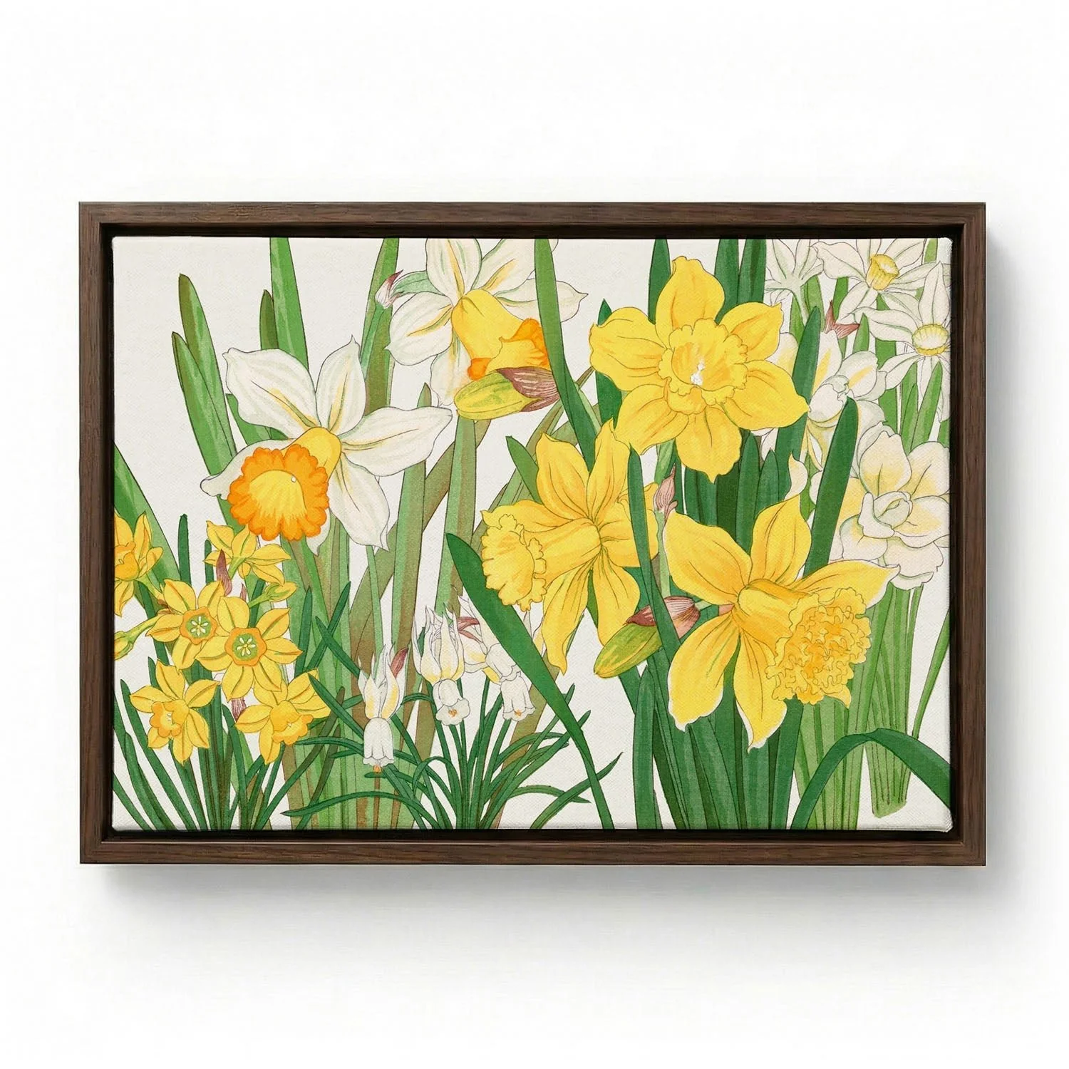 Daffodil No.2 by Tanigami - Image 5