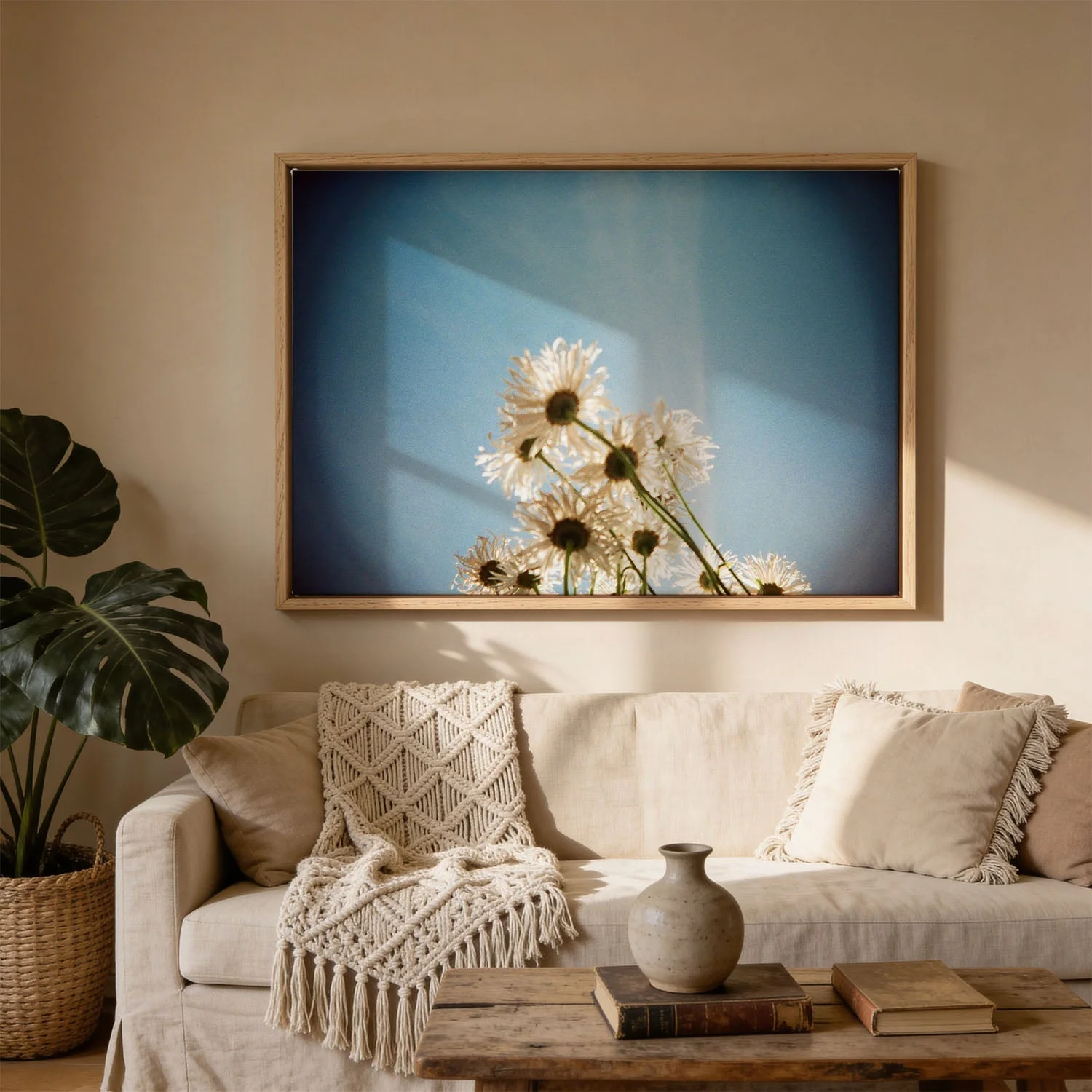 Daisies, Selsey 1 by Sophie Robinson - Image 3