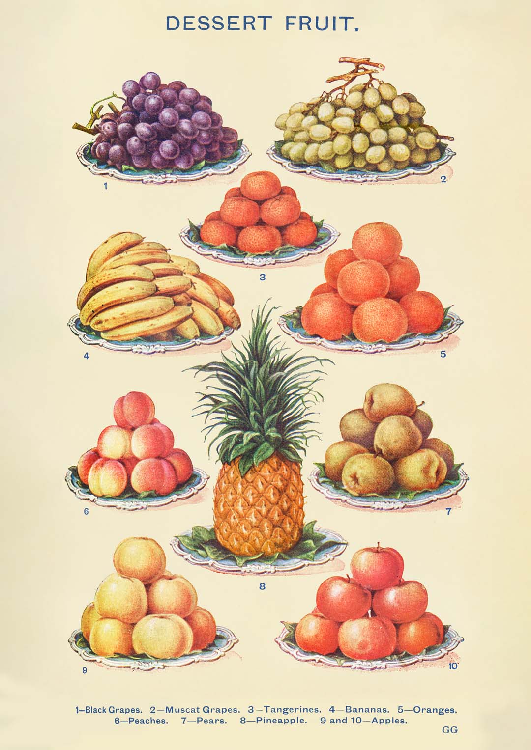 Dessert Fruit from Mrs. Beeton's Household Management - Image 8