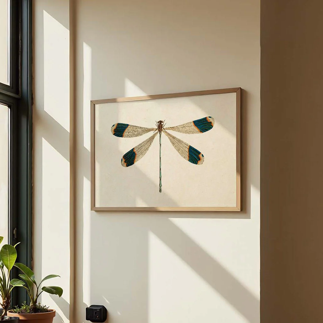 Dragonfly - Image 3