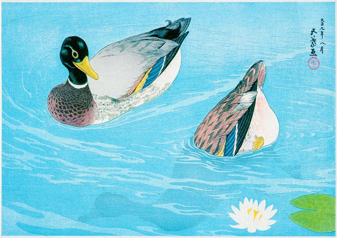 Ducks by Gōyo Hashiguchi - Image 8