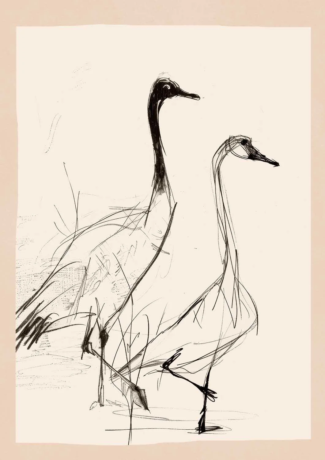 Elegant Cranes Sketch by Nadjaa - Image 7