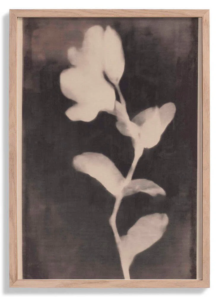 Fadedbloom by Treechild