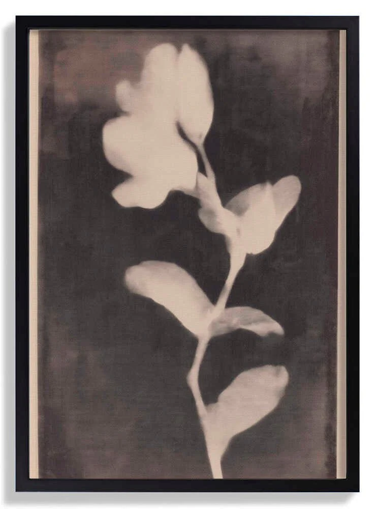 Fadedbloom by Treechild - Image 6
