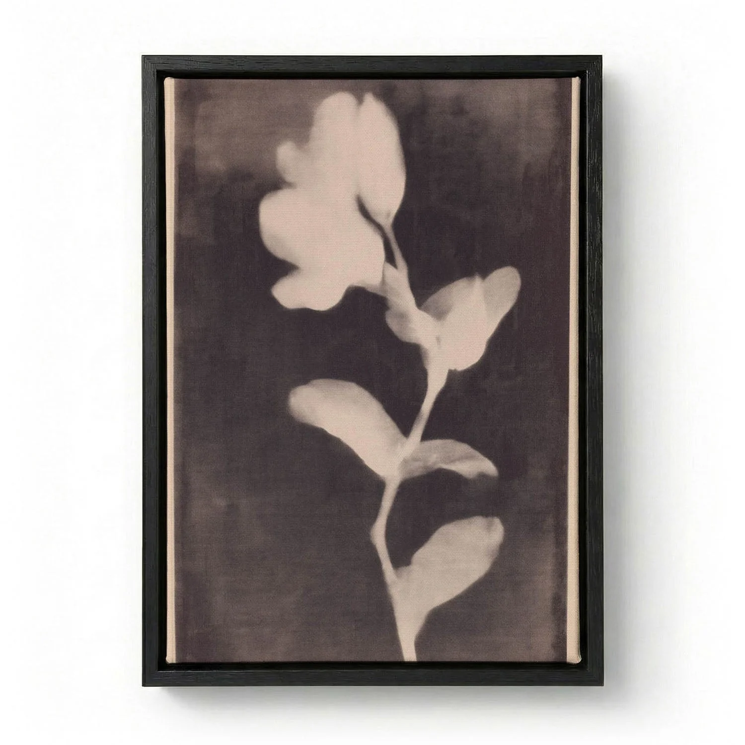 Fadedbloom by Treechild - Image 5
