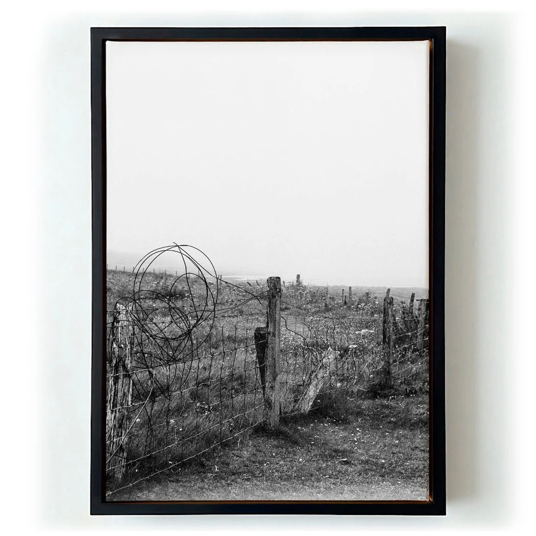 Fenceline by Sophie Robinson - Image 5