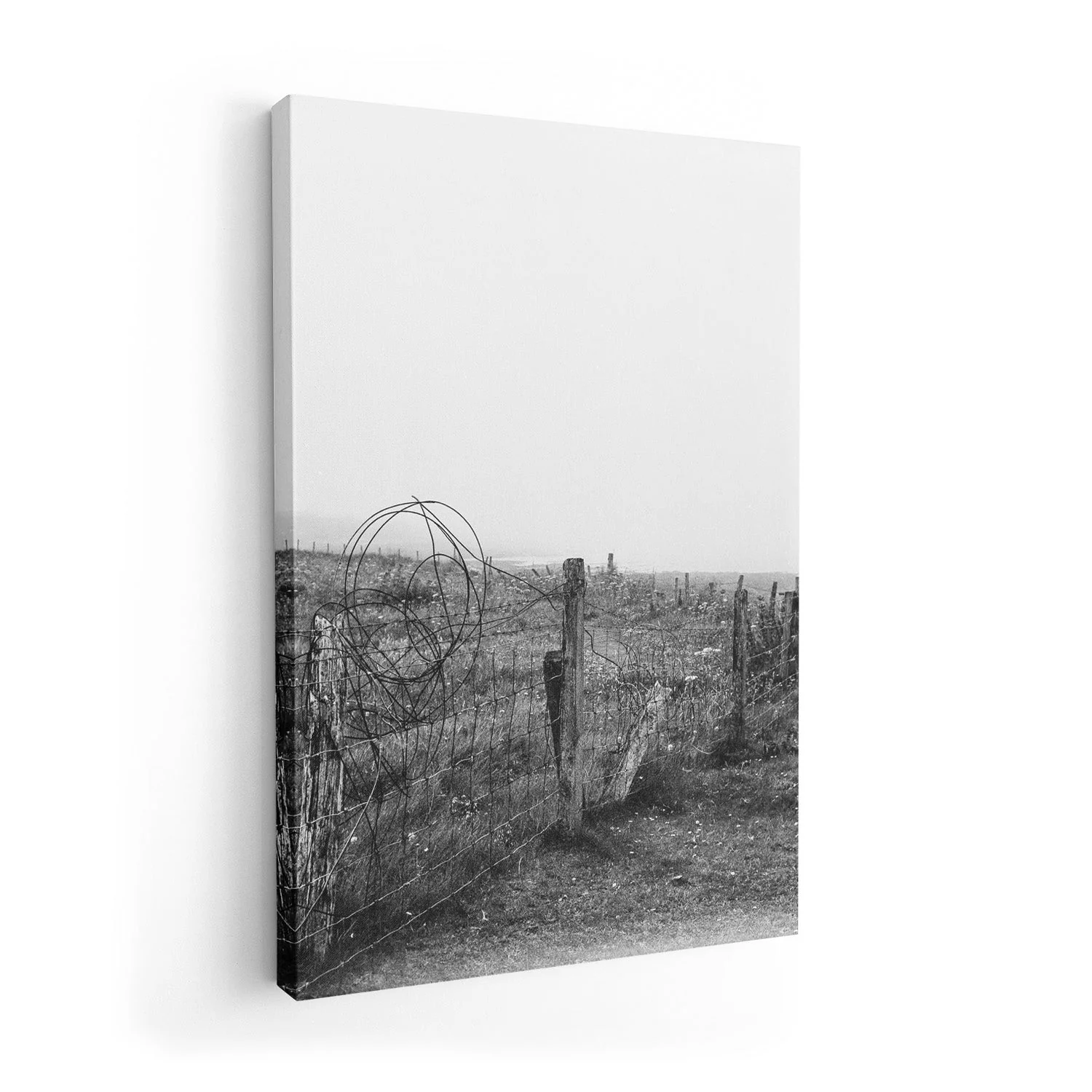 Fenceline by Sophie Robinson - Image 7