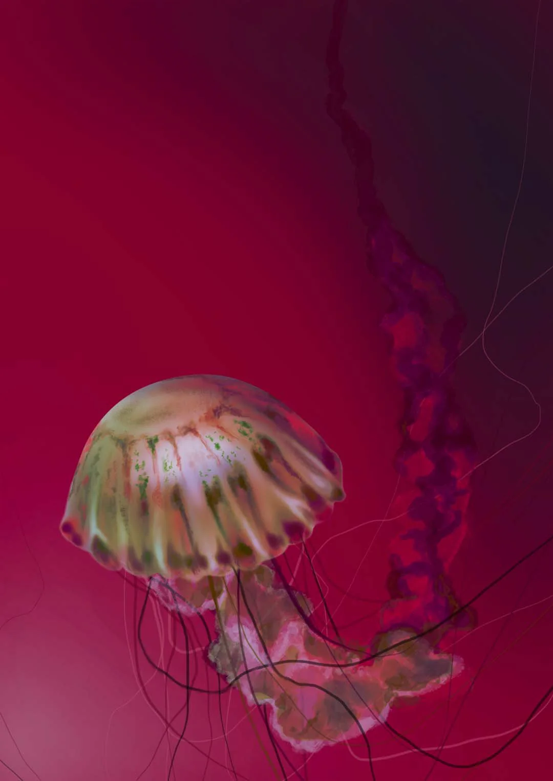 Fire Starter Jellyfish by Julia Charlott - Image 8