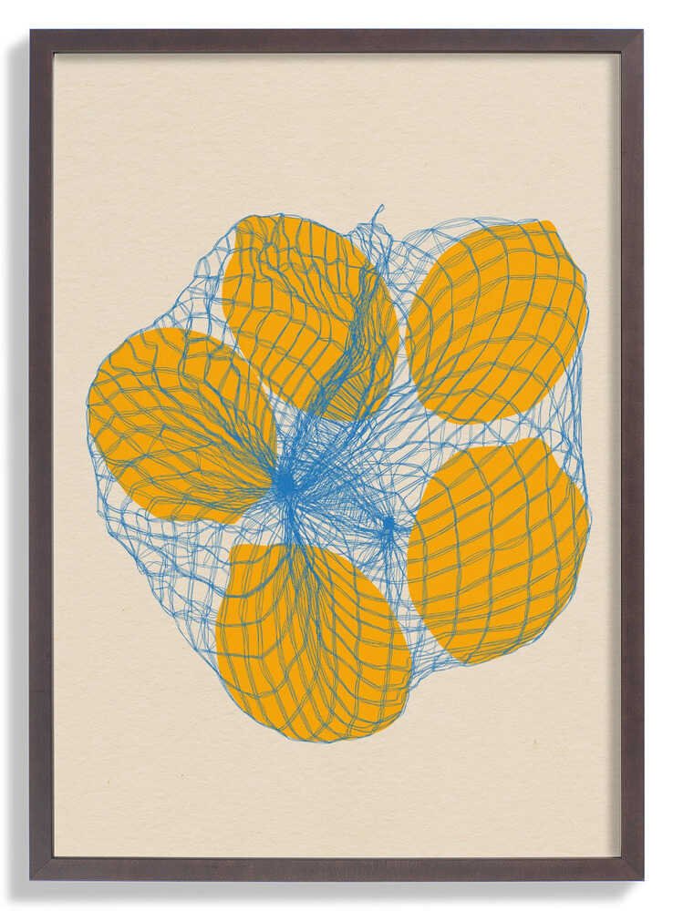 Five Lemons In a Net Bag by Rosi Feist - Image 7