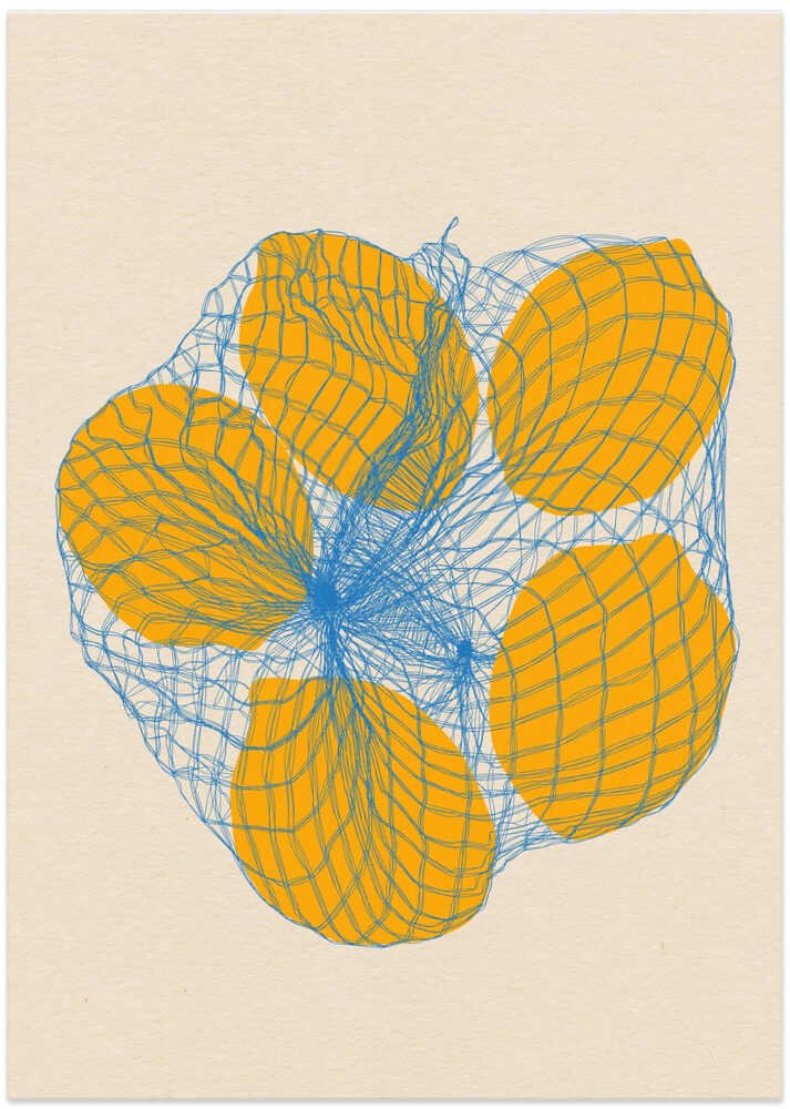 Five Lemons In a Net Bag by Rosi Feist - Image 8