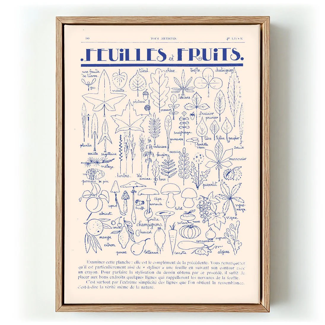 Fleurs et Fruits by Astër
