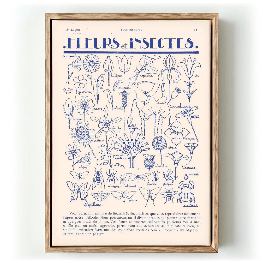 Fleurs et Insectes by Astër