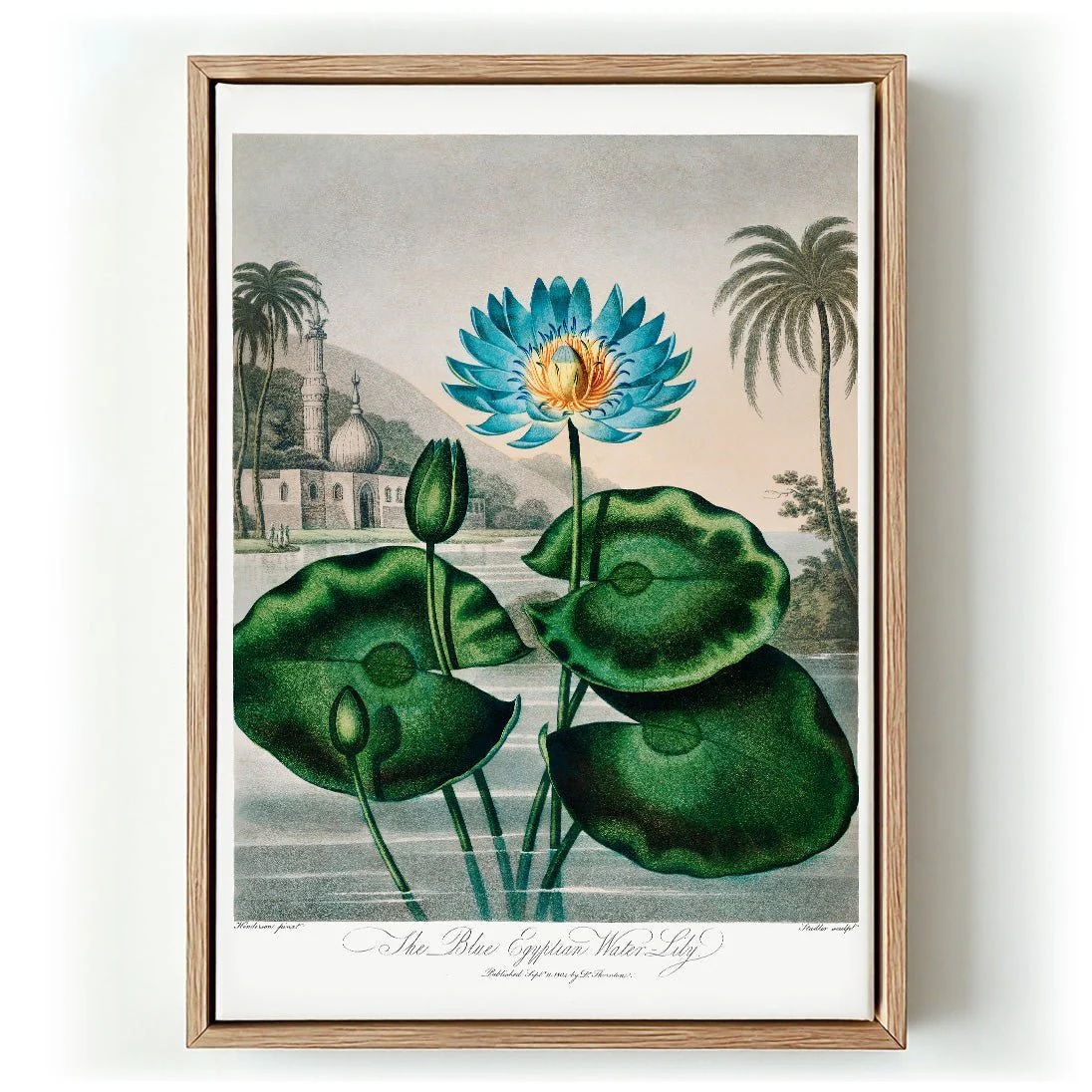 Flower Print Egyptian Water Lilly Temple of Flora