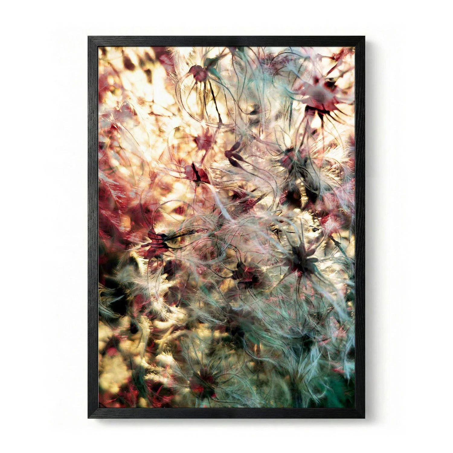 Fluffy Botanical Glow by Angelo Cerantola - Image 5