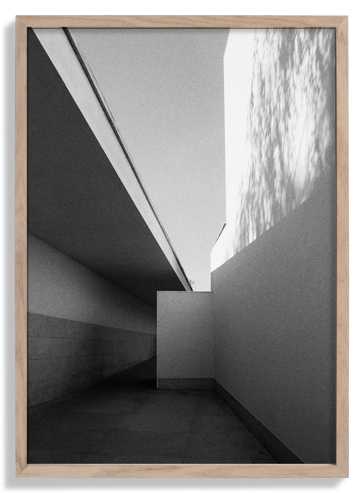 Fundação Serralves Extension by Sophie Robinson