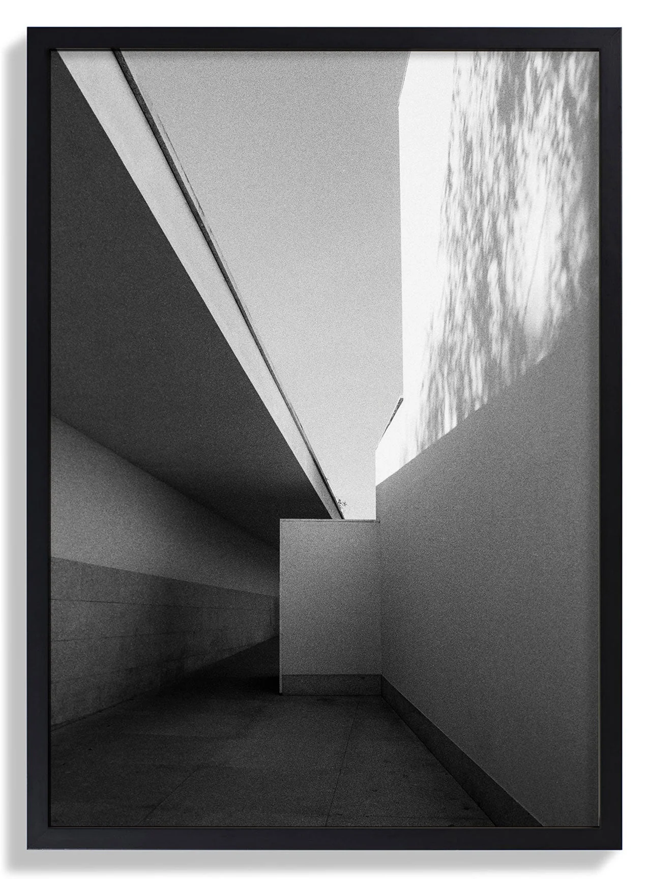 Fundação Serralves Extension by Sophie Robinson - Image 3